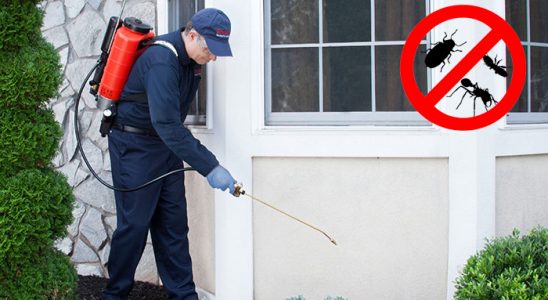 Büyükçekmece Bit İlaçlama böcek ilaçlama ve haşere kontrolü — ilaclama-tr.com